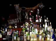 Party Venues