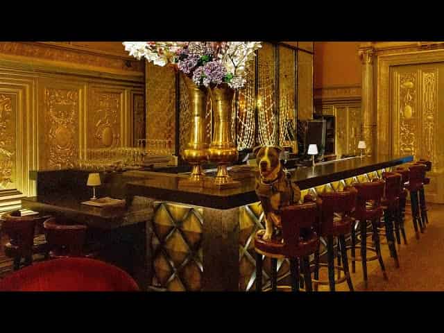 The Gold Room