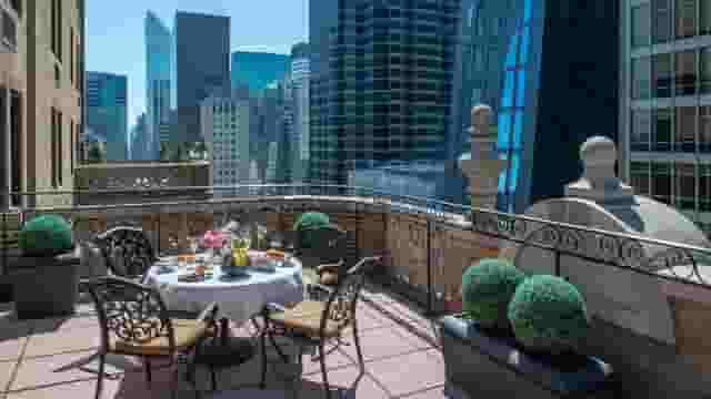 Hollywood Suite