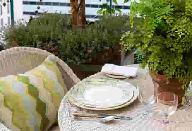 The Roof Terrace