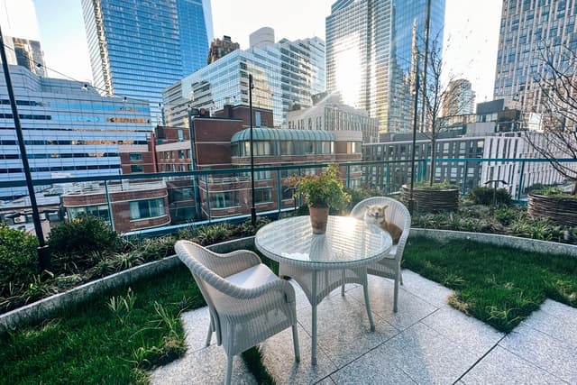 The Roof Terrace