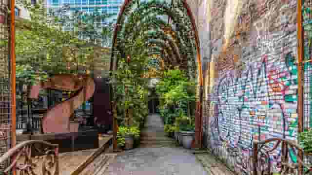NoMo Kitchen & Rose Garden