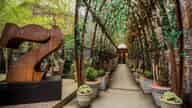 Christmas Party Venues