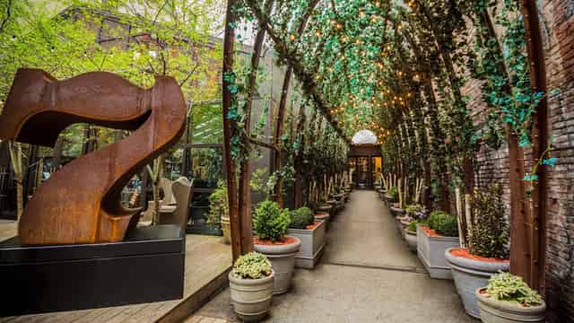 NoMo Kitchen & Rose Garden