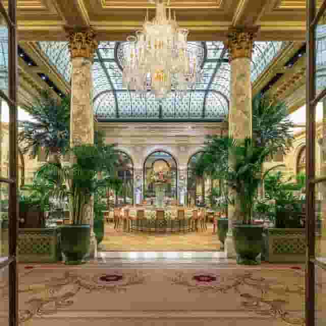 The Palm Court