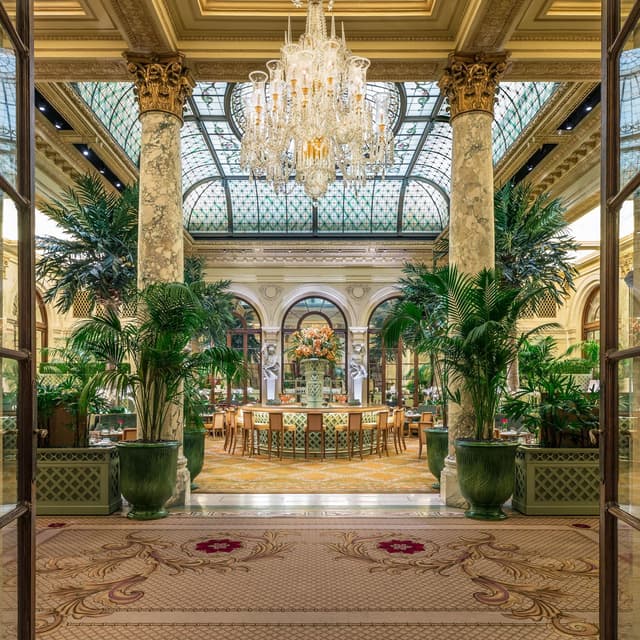 The Palm Court