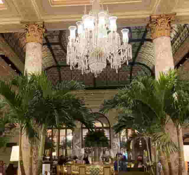 The Palm Court