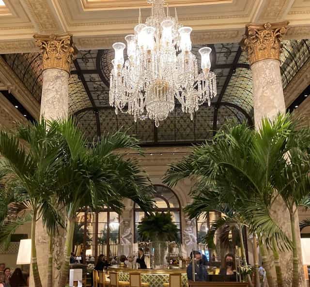 The Plaza Palm Court atrium for sophisticated corporate cocktail receptions and VIP events.