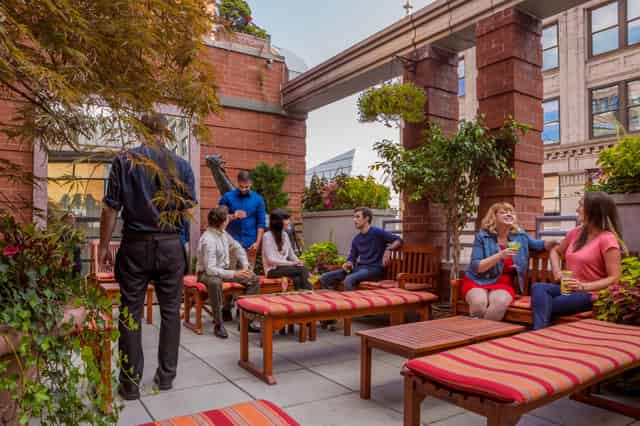 Rooftop Garden