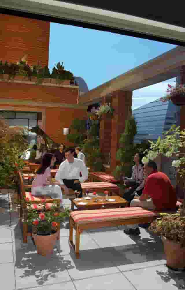 Rooftop Garden