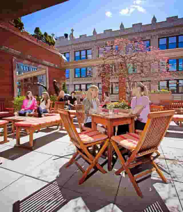 Rooftop Garden