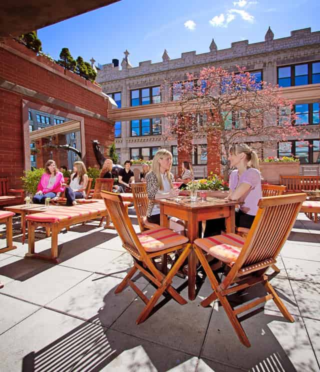 Rooftop Garden