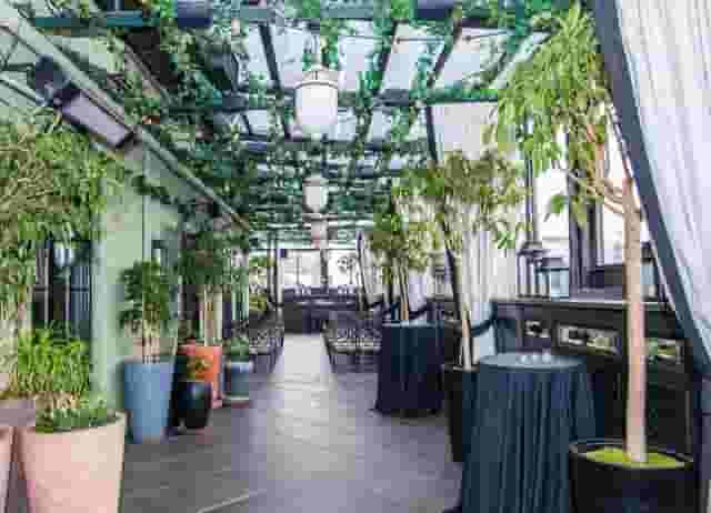 Rooftop terrace