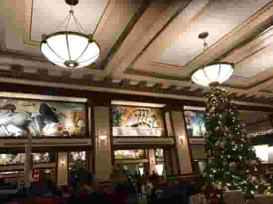 Friedman's