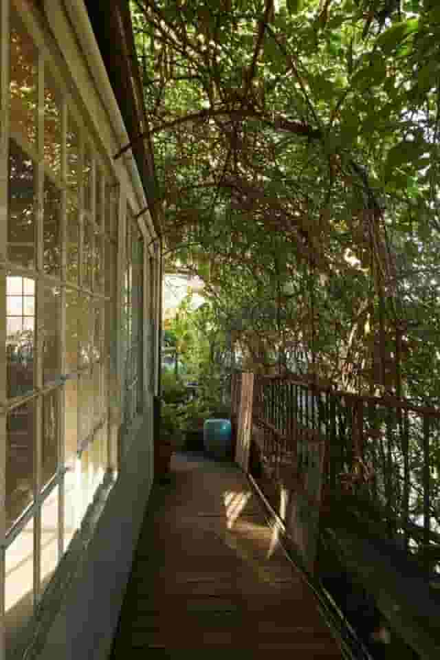 The Rooftop Garden