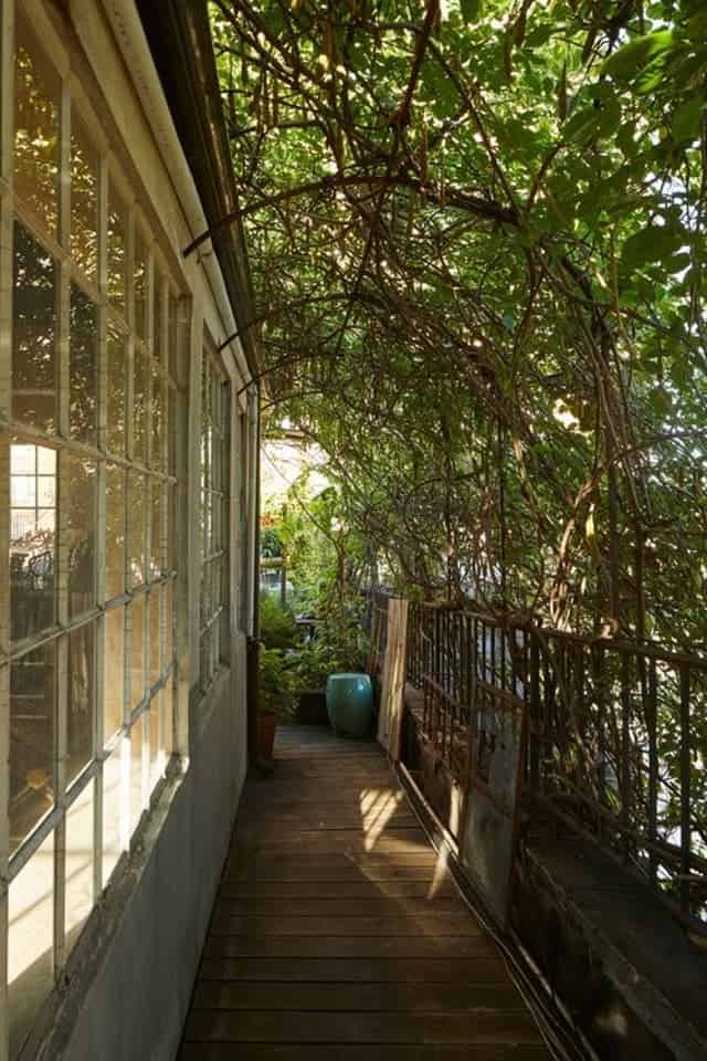 The Rooftop Garden