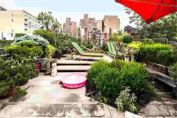 The Rooftop Garden