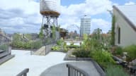Event Venues