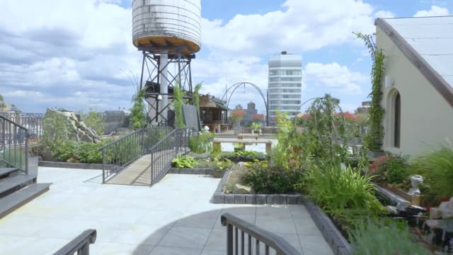 Rooftop