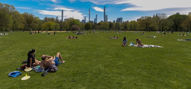 Great Lawn at 1 Hotel Central Park: Skyline backdrop for corporate team-building and picnic events.