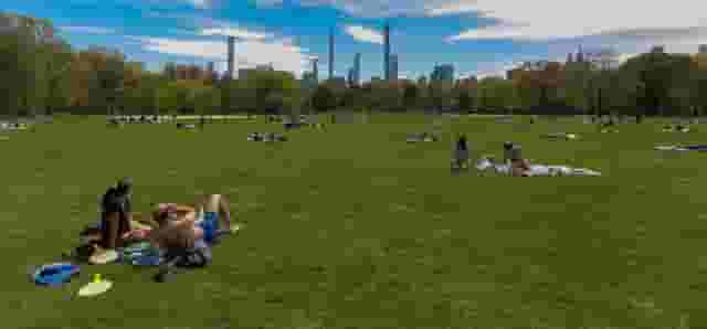 Great Lawn