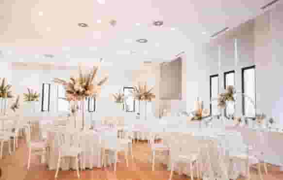 Royal Liver Suite