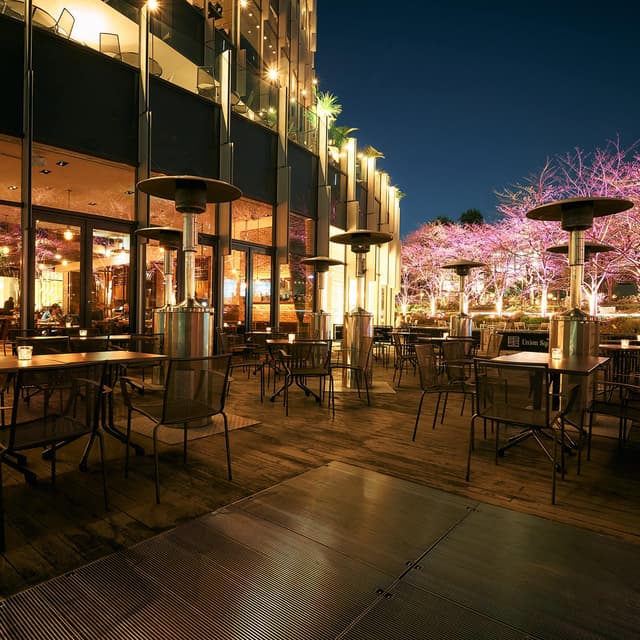 Terrace