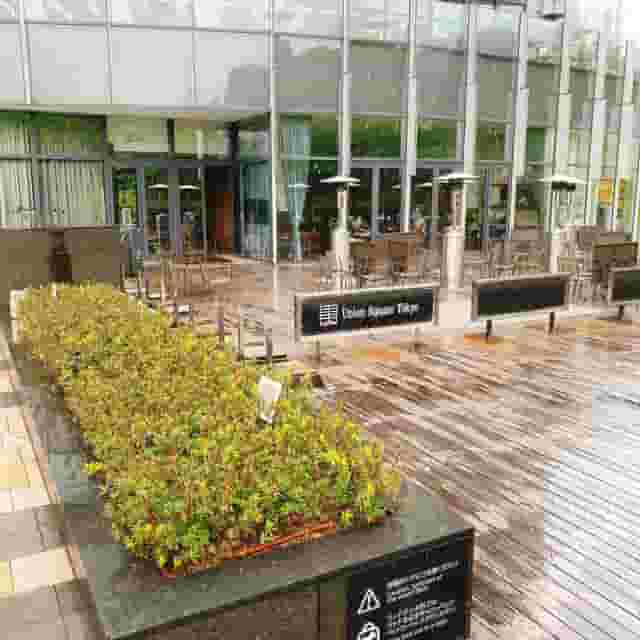 Terrace
