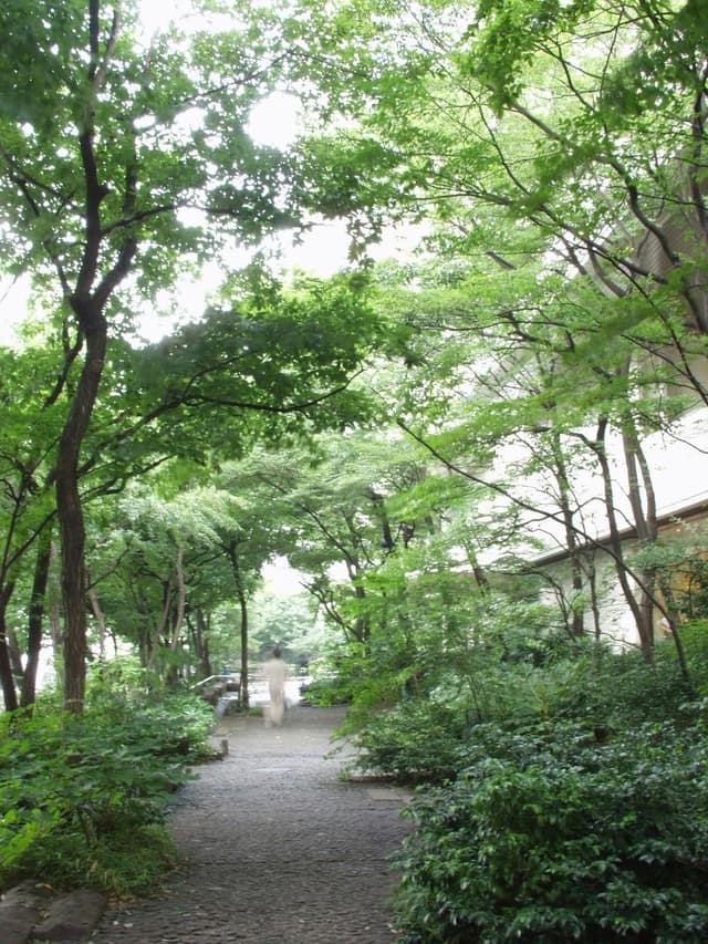 Hikari