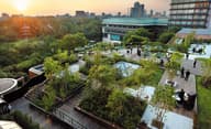 Summer Party Venues