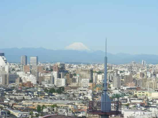Fuji