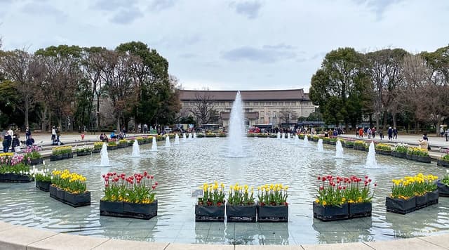 Museum Grounds