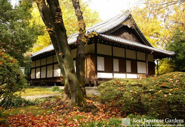 Tokyo National Museum grounds, serene venue for intimate corporate retreats and executive sessions.