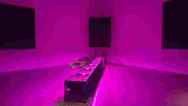 Shiseido Gallery
