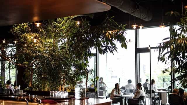 Biophilic GYRE restaurant for VIP networking receptions and board dinners.