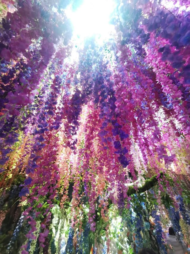 TOKYO NODE