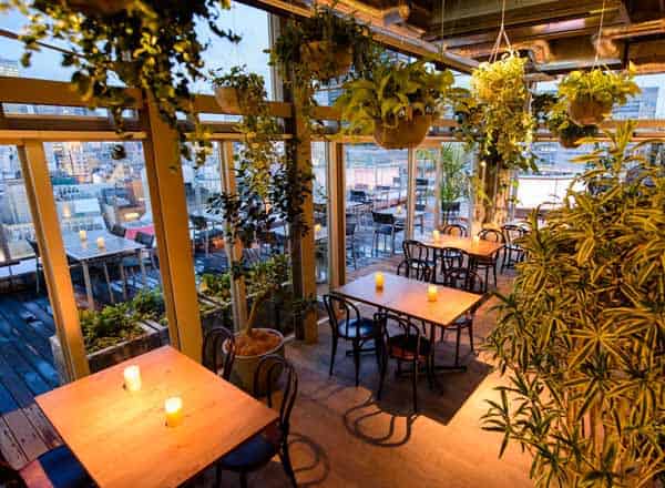roof top bar ＆ terrace G