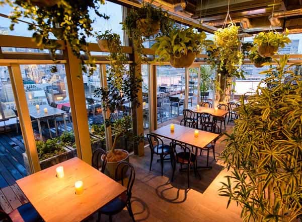 roof top bar ＆ terrace G