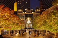 Christmas Party Venues