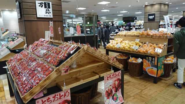 Yebisu Garden Place