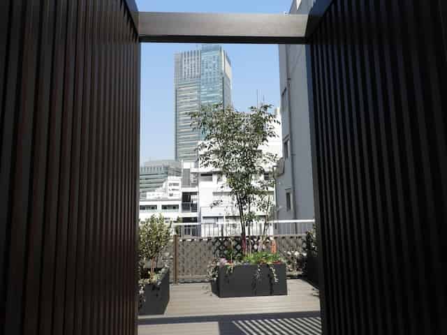 Rooftop Garden