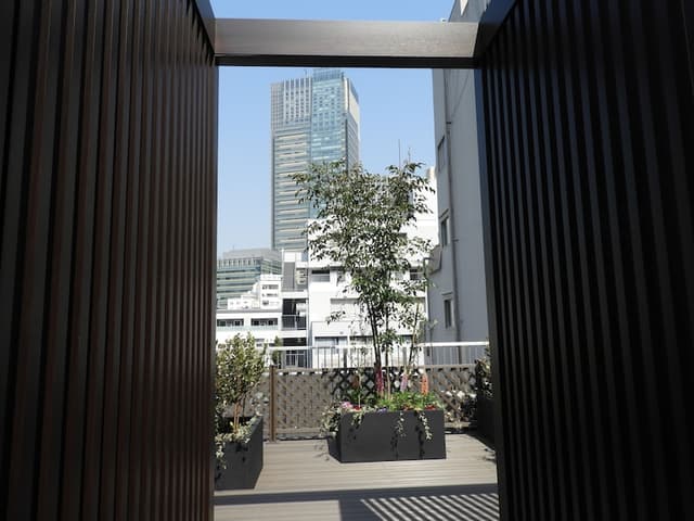 Rooftop Garden