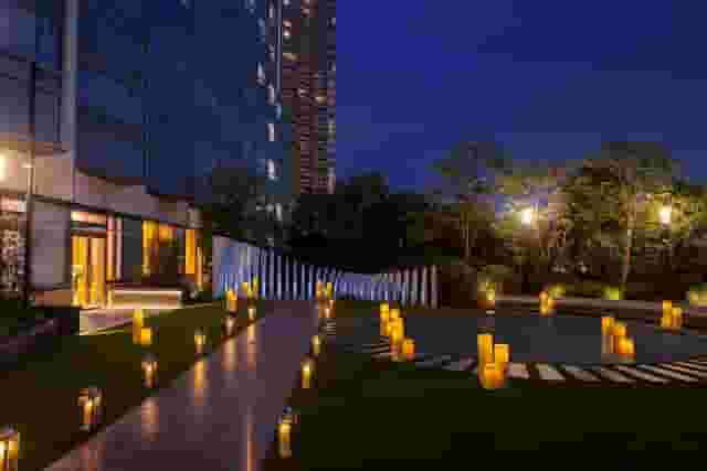 Rooftop Garden