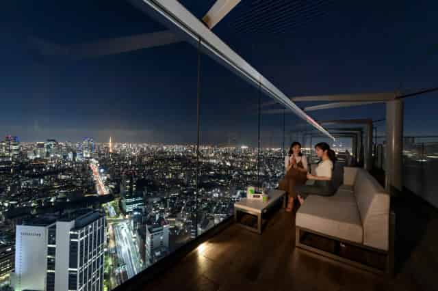 The Roof