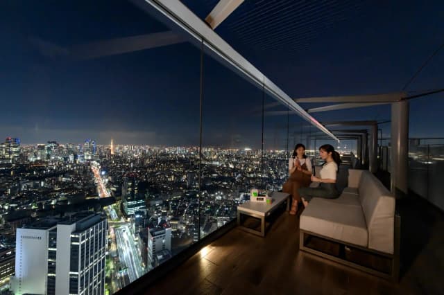 The Roof