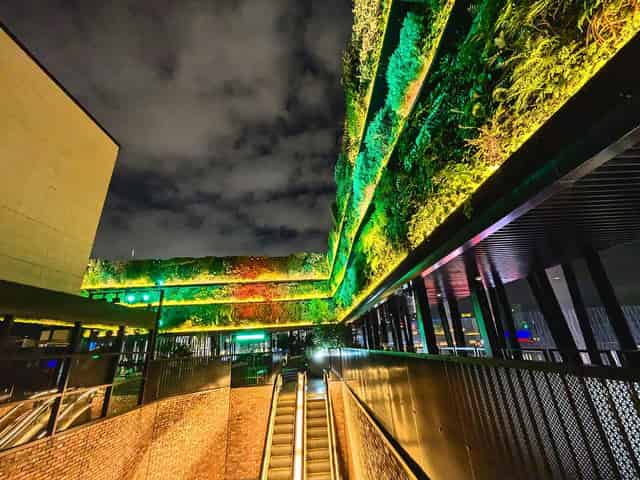 The Roof