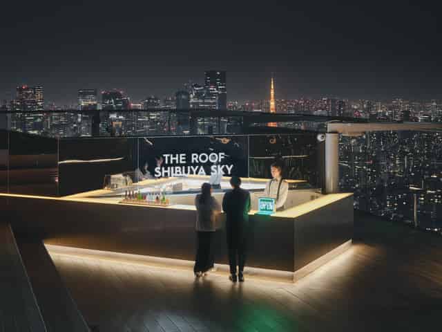 The Roof