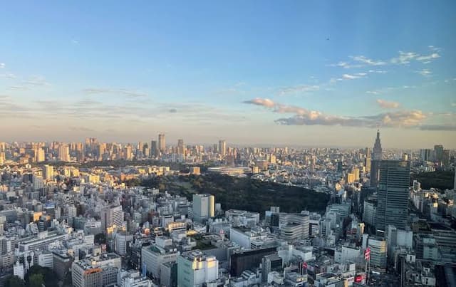 BELLUSTAR TOKYO +1 more