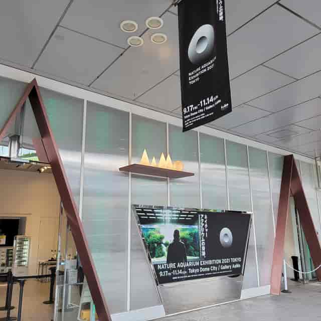 Modern Gallery AaMo foyer with hanging signage for professional exhibition and event branding.