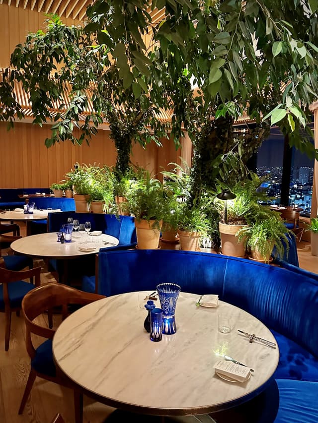 The Blue Room